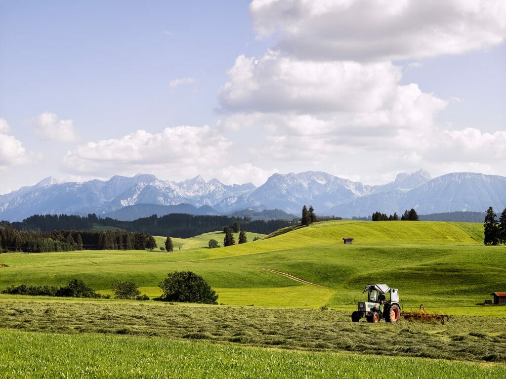 Eine grüne Landschaft mit Bergen im Hintergrund.