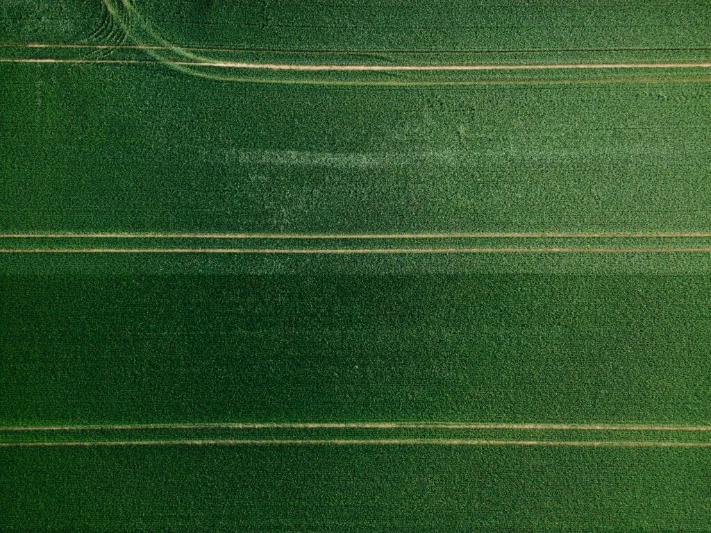 Eine Luftaufnahme einer grünen Landschaft.