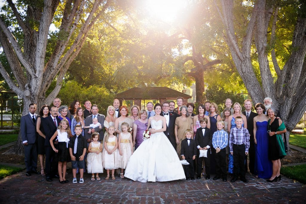 Hochzeitsfeier, Posieren, Baum.