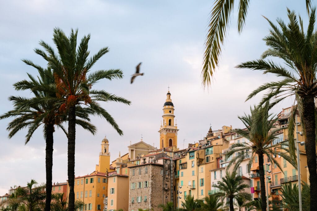 Bunte Gebäude am Hang und Kirchtürme, eingerahmt von Palmen, mit einem Vogel im Flug und einem pastellfarbenen Himmel im Hintergrund.
