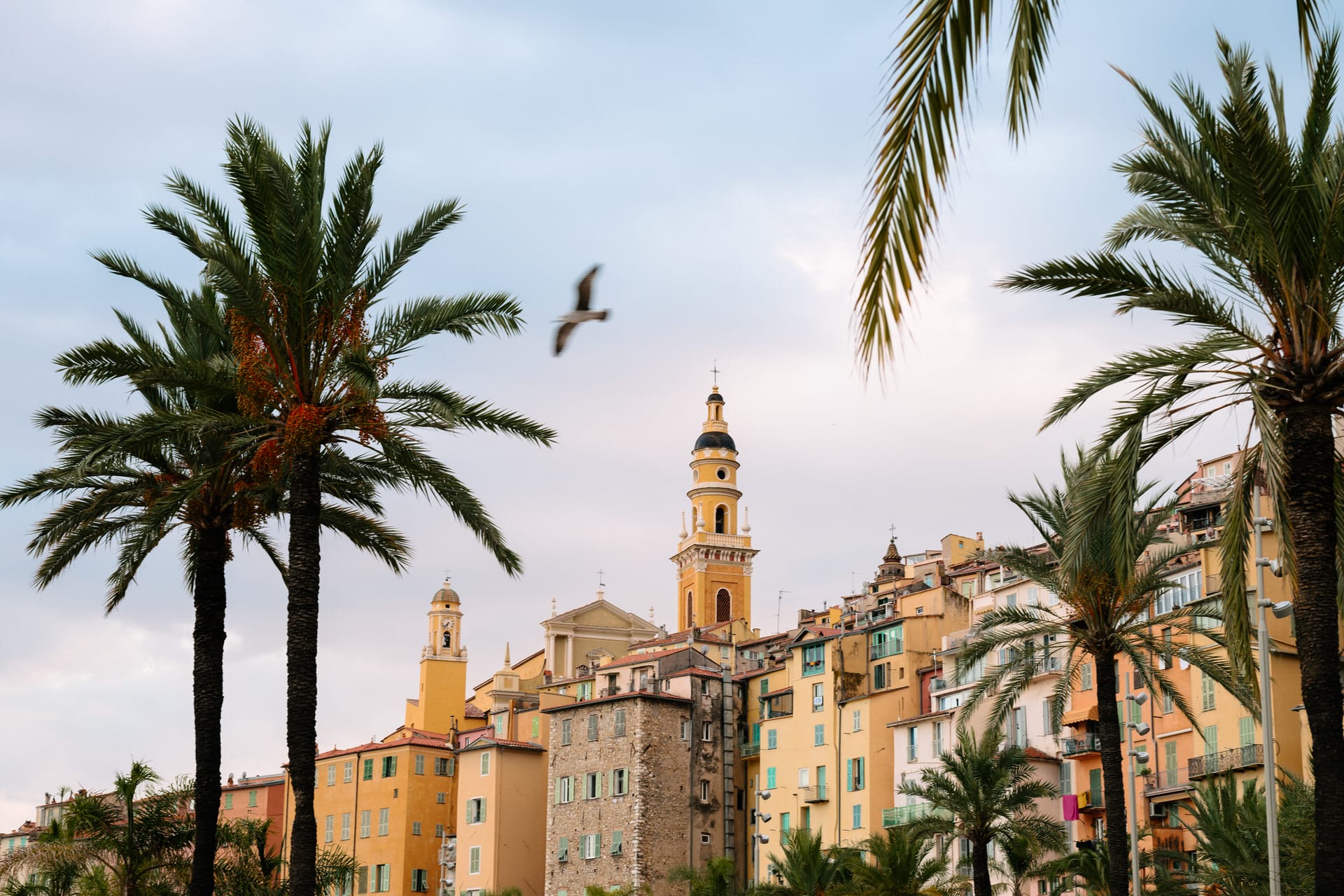 Bunte Gebäude am Hang und Kirchtürme, eingerahmt von Palmen, mit einem Vogel im Flug und einem pastellfarbenen Himmel im Hintergrund.